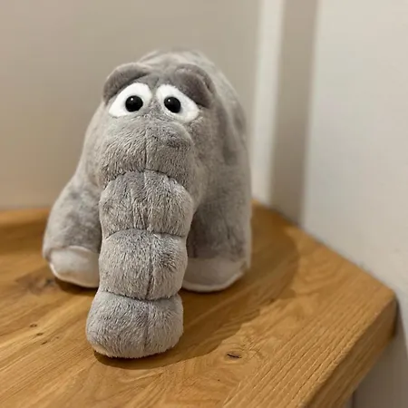 Senden 7 Frieda * Krummhörn