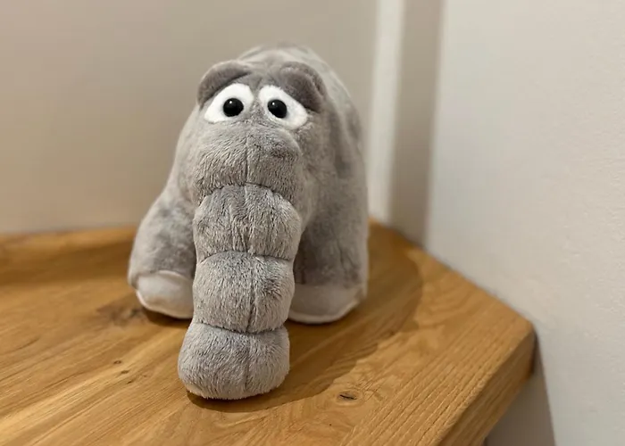 Senden 7 Frieda * Krummhörn